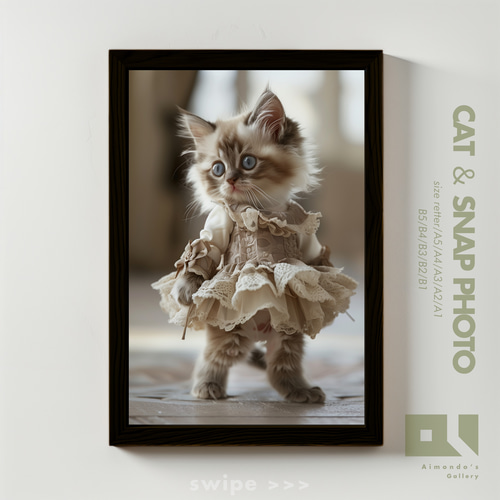 No.0046】おしゃれなドレスを着た子猫【＃猫スナップ】 写真