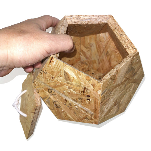 大臣【受注製作品】OSBボックスセット box-03066 受注販売 OSB合板 ディスプレイボックス | ART OF BLACK