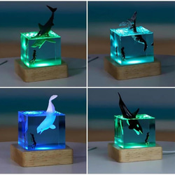ミニ ナイトライト LED ランプ USBケーブル付き台 セット 照明 サメ 海 ランプ プレゼント at-0134 6枚目の画像