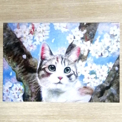 箱入り猫（娘)　油絵　オリジナル　手描き　原画 ☆ 2016 再会 #油絵#坂野和子 #こねこ#チューリップ🌷 #猫写真集