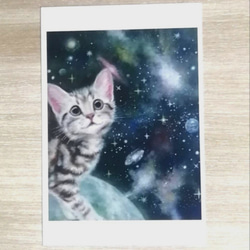 三毛猫とリンドウの絵 油絵原画「sincere eyes」 絵画 Rio Yuki