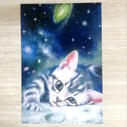 箱入り猫（娘)　油絵　オリジナル　手描き　原画 桜と子猫の絵 油絵原画「The arrival of spring」 絵画 Rio Yuki