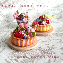 359 ＊小鳥さんと春のスイーツセット＊ ミニチュアスイーツ 粘土