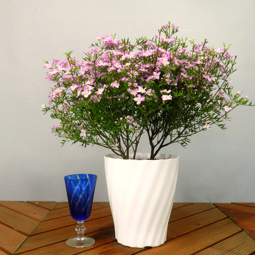 ビギナーママ❗️ 草月　白磁　花器　コの字 ビギナーママ様専用❗️ 草月 白磁 花器 コの字