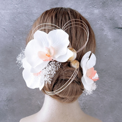 胡蝶蘭と水引の髪飾り 結婚式 成人式 胡蝶蘭 和装 振袖 卒業式 白無垢