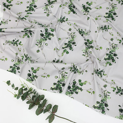 韓国製 花柄 植物柄 ユーカリプタス柄 生地 コットン100％シーチング Eucalyptus Leaf 1枚目の画像