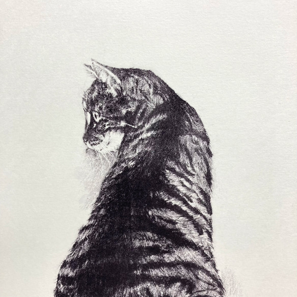 版画「振り向く猫」 3枚目の画像