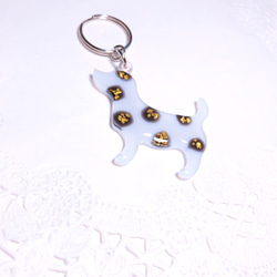 8c24901f39c4aa244f84a62d99c149