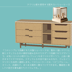 オーダーメイド 職人手作り ショーケース 人形ケース 店舗什器 サイズオーダー 無垢材 天然木 木工 木製 家具 LR 3枚目の画像