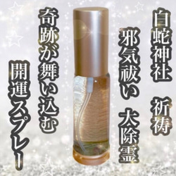 ❤御守りシリーズ❤希少❤蛇紋沈香❤白檀❤ブロンザイト❤黒檀❤パジュラ❤金蛇パ－ツ a10f7e2e398913513941cc7a45ebda