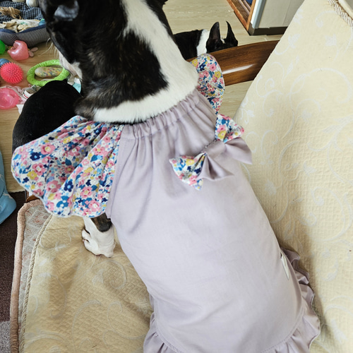 犬服ワンピース ハンドメイド