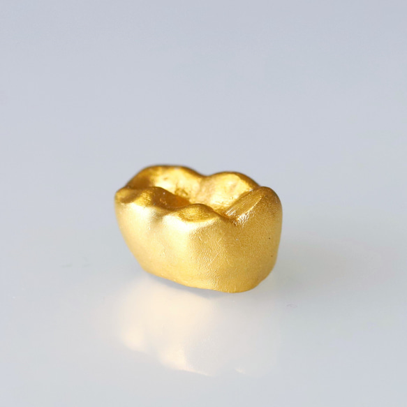 【金乳歯｜奥歯D（第一乳臼歯）】お子様の乳歯を純金（24K）製オブジェに。木製乳歯ケース、アクリルフォト、名入れ 1枚目の画像