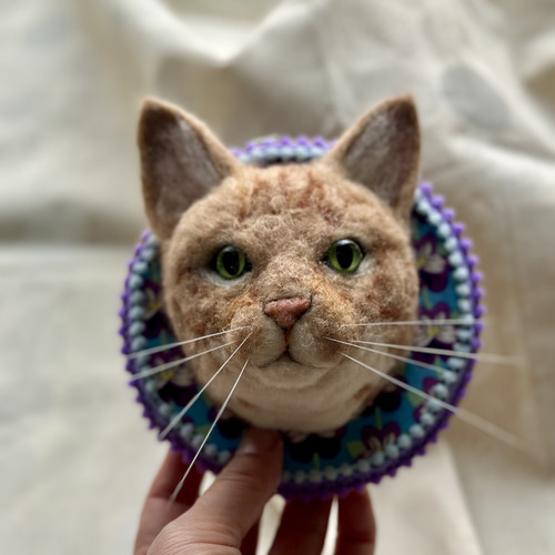 ネコ壁掛け×3（オーダー品） 羊毛フェルト PECORA・DOLLY 通販