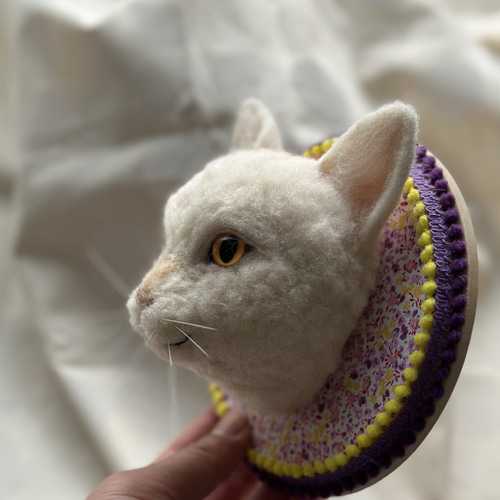 ネコ壁掛け×3（オーダー品） 羊毛フェルト PECORA・DOLLY 通販