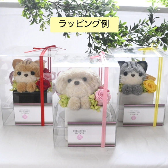 もこペット【犬・グレー】プリザーブドフラワー ペット 犬 花 トイプードル いぬ フラワー 母の日 お供え  誕生日 8枚目の画像