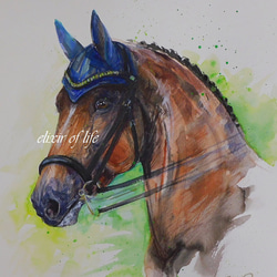 Dressage Horse 2024 (高級水彩画用紙３２ｃｍ×４１，５ｃｍ、水彩、アクリル） 1枚目の画像