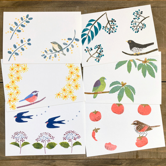 鳥類與植物明信片（6 件組） 第1張的照片