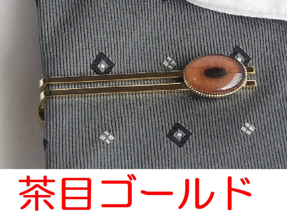 ネクタイピン 魚目・茶目【オーダー】 5枚目の画像