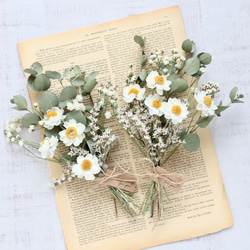 かすみ草ドライフラワー ♡*。ナチュラルホワイト中 【花材】 ドライ