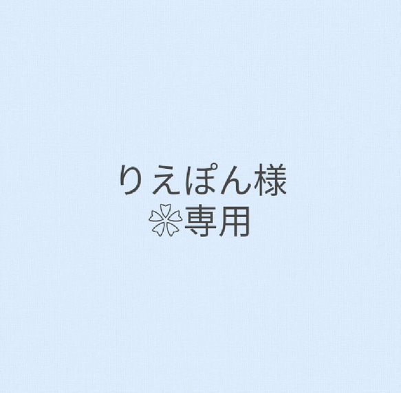 オリジナル❀.*･ﾟ天然石♡イニシャルキーホルダー 1枚目の画像