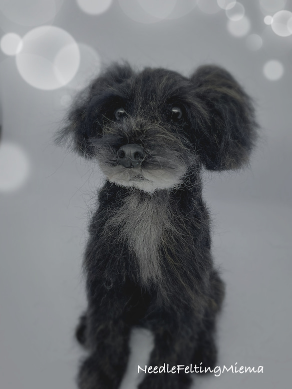 羊毛フェルト 愛犬オーダー ☆てんてん様オーダー☆ 愛犬さんのオーダー》羊毛フェルトオーダー 羊毛フェルト犬