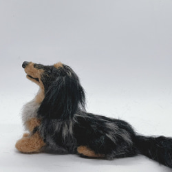 羊毛フェルト 全身オーダー ☆てんてん様☆ ☆リピートオーダー☆ ☆愛犬オーダーメイド等身大サイズ☆うちのこ 羊毛フェルト