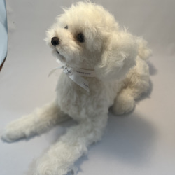 羊毛フェルトで作る愛犬さんオーダーメイド　大きなサイズ 6枚目の画像