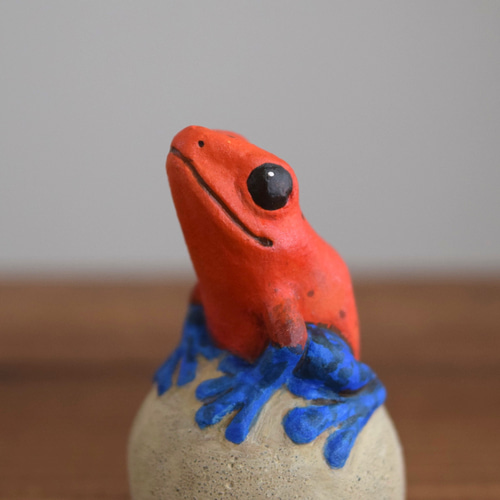 石の上にもイチゴヤドクガエル その他置物 もっちょこ 通販 17575602