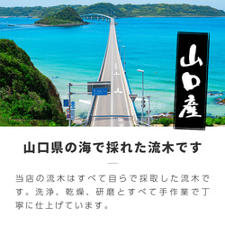 流木 棒 おまかせセット D1 50cm～70cm/1本 ハンドメイド素材 ガーデニング素材 装飾 【送料無料】 10枚目の画像