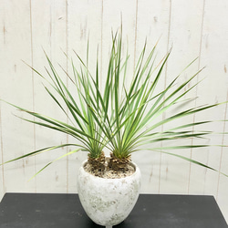 31e99cf99b5fe13f8e144ee3e4f0fe