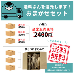 流木 棒 おまかせセット E4 70cm～100cm/5本 ハンドメイド素材 ガーデニング素材 装飾 【送料無料】 5枚目の画像