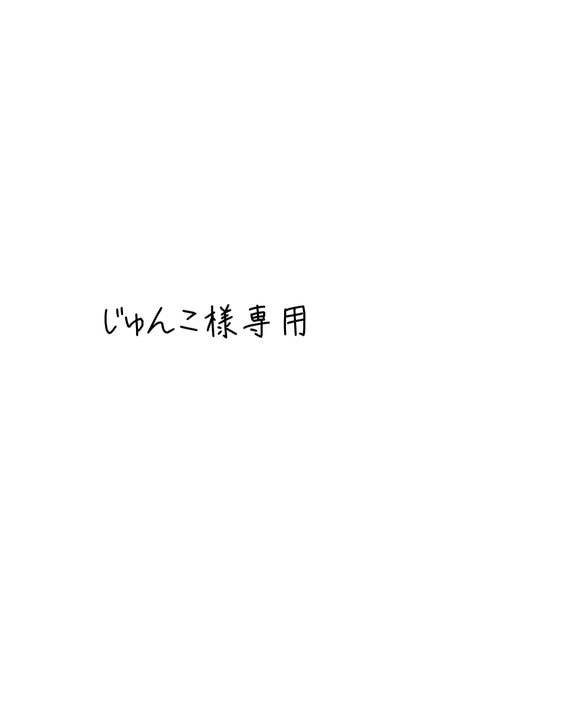 じゅんこ様専用ページ 1枚目の画像