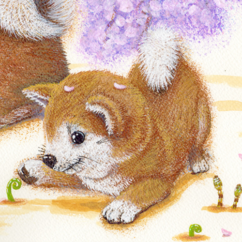 油絵　専用　穏やかなお利口さんの柴犬　見本 油絵 専用 穏やかなお利口さんの柴犬 見本 油絵 専用 穏やかなお
