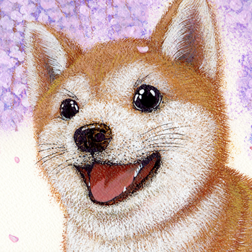 柴犬】うちの子絵画『らんまん』イラスト（額・マット付き