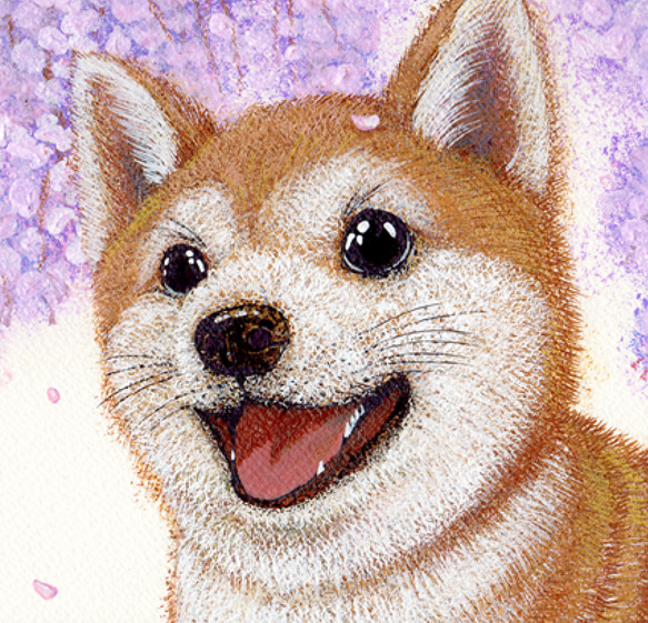 【柴犬】うちの子絵画『らんまん』イラスト（額・マット付き）オリジナル原画／アクリル絵画  ※１点もの【送料無料】 4枚目の画像