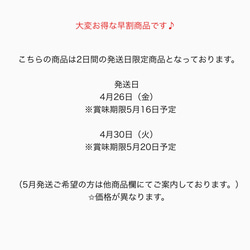 【4月発送日限定早割】母の日クッキー缶2024 8枚目の画像