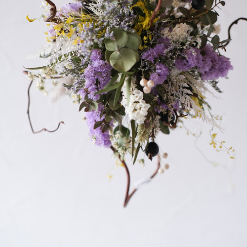 優しい春の2種のスターチスのフライングボール＊フライング