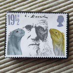 イギリス　ダウイン切手ブローチ 9586 1枚目の画像