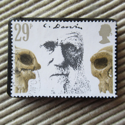 イギリス　ダウイン切手ブローチ 9588 1枚目の画像