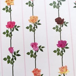 デザインペーパー　薔薇ストライプ　上質紙10枚 4枚目の画像