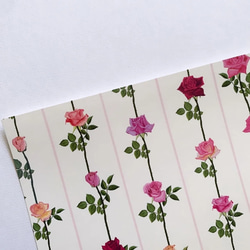 デザインペーパー　薔薇ストライプ　上質紙10枚 3枚目の画像