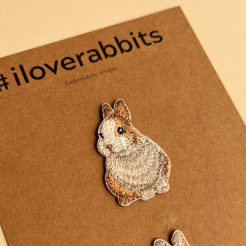 もこもこ うさぎ ウサギ ラビット ワッペン刺繍 Tシャツ もこもこ うさぎ ウサギ ラビット ワッペン刺繍 ロンT 3D刺繍 全