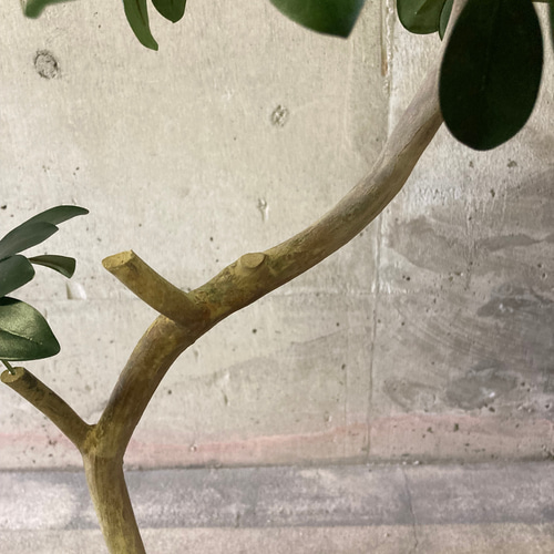 光触媒 人工観葉植物 ウォールグリーン フェイクグリーン カポック花器