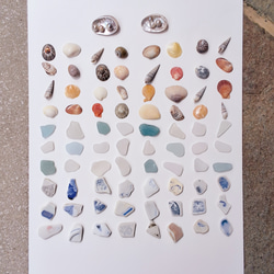 シーグラス&貝殻 88個セット 1枚目の画像