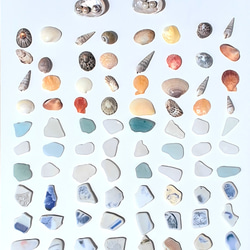 シーグラス&貝殻 88個セット 3枚目の画像