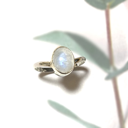 Blue Moonstone V-shaped Ring 《送料無料》/SV950 1枚目の画像