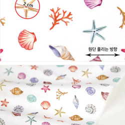 韓国製 海柄 オーシャン 貝 ほら貝 ヒトデ 生地 コットン100％シーチング Ocean Shell Fish 2枚目の画像