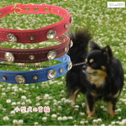 首輪 カラー レッド ブルー ピンク 小型犬用 散歩 犬服 猫 ペット ドッグウェア PV81 PV88 PV110 1枚目の画像