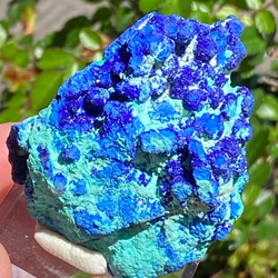 激レア♢スペシャル鉱物標本 スパークリング アズライトボール on マラカイト アズライト原石13  天然石 天然色 12枚目の画像