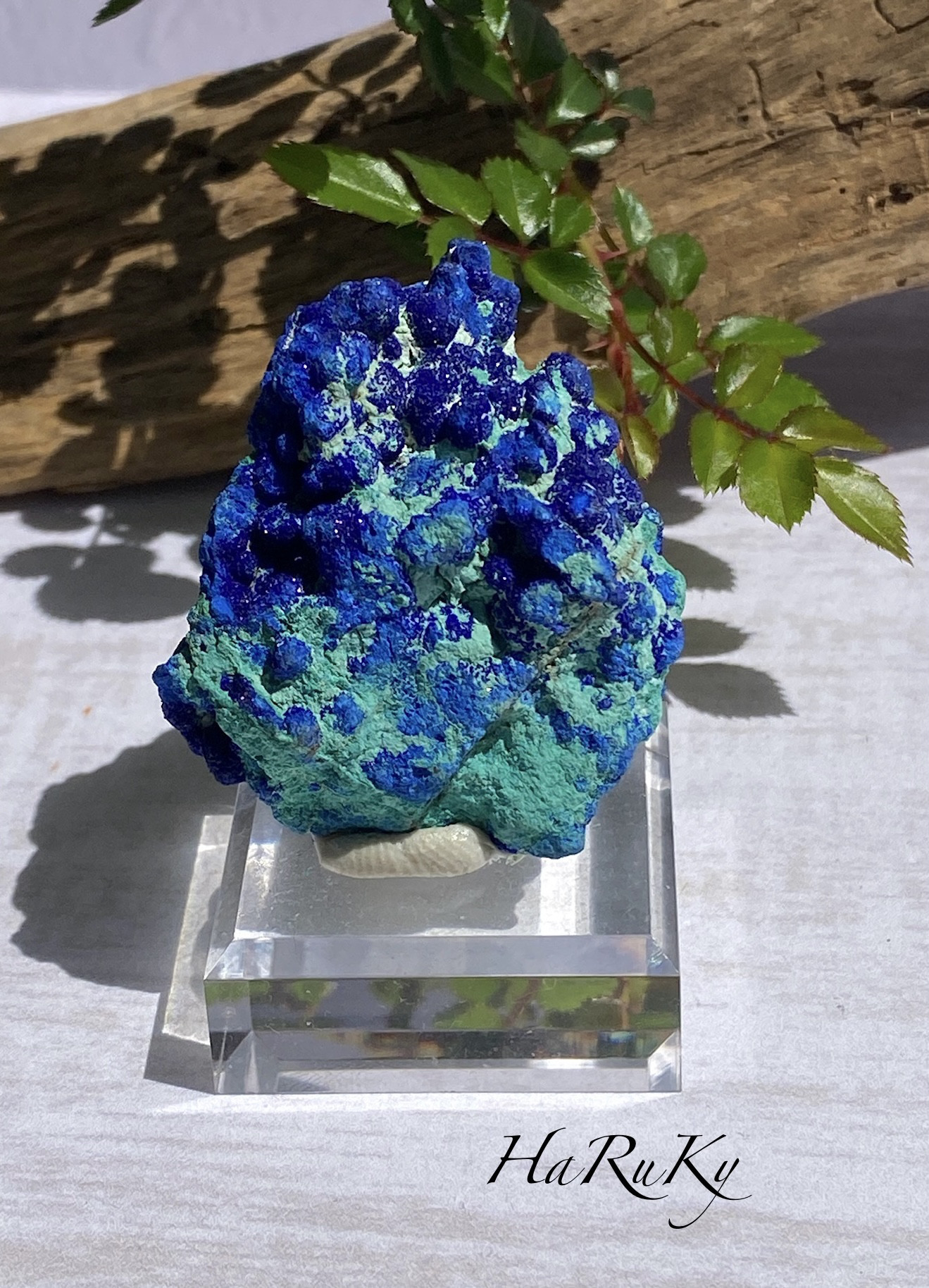 激レア♢スペシャル鉱物標本 スパークリング アズライトボール on マラカイト アズライト原石13  天然石 天然色        Ω